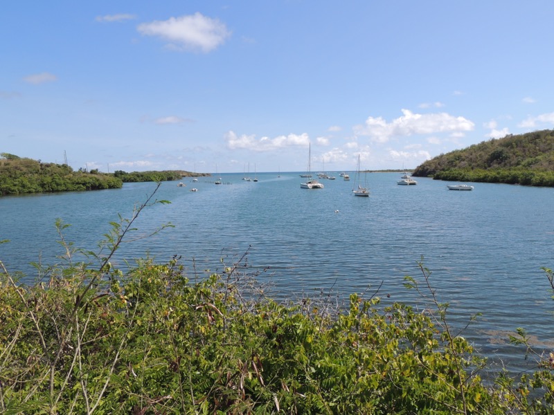 Salt River Bay NHP & Ecological Preserve - Saint Croix